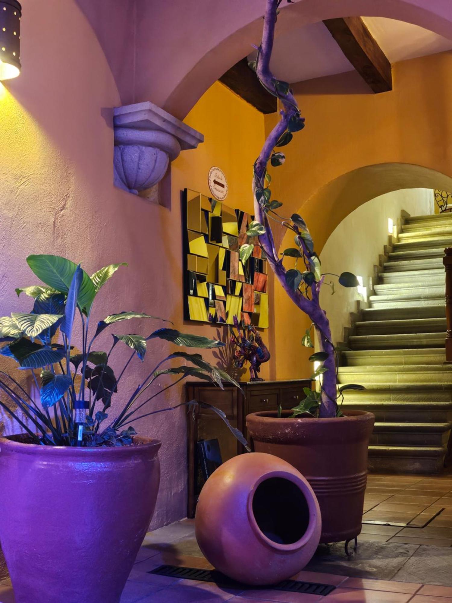 Hotel Casa Divina Oaxaca Екстер'єр фото
